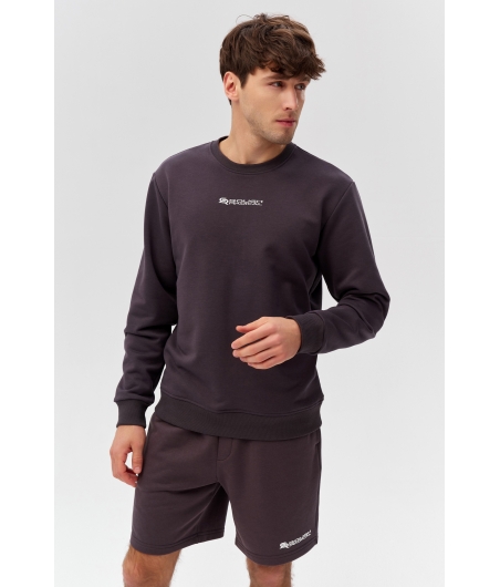 Men's sweatshirt COTTON ACTIVE