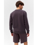 Men's sweatshirt COTTON ACTIVE