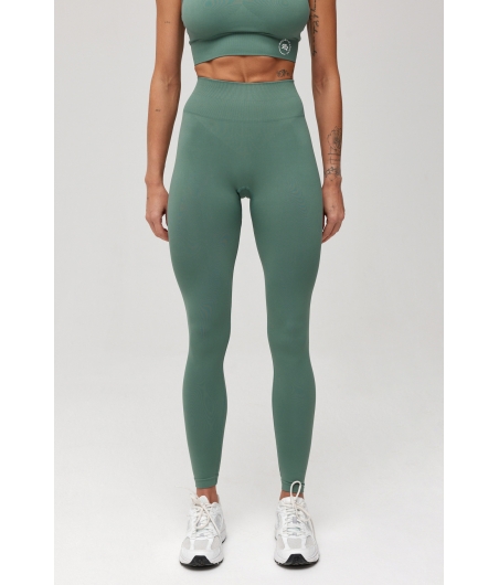 Legginsy damskie SEAMLESS GLOW LONG